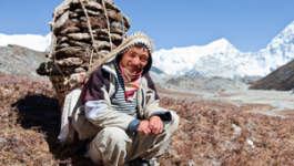 Why Choose A Travel Agent?